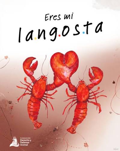 La razón de «Langostita»